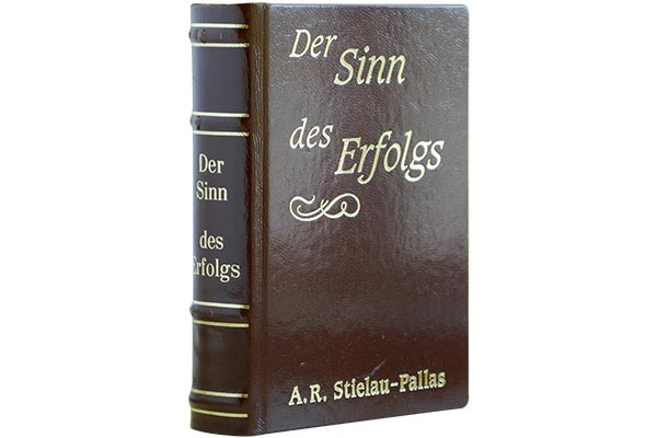 Der Sinn des Erfolgs - Buch von Alfred R. Stielau-Pallas