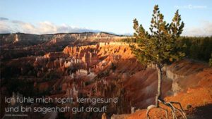 PALLAS-Seminare Desktop Preview - Bryce Canyon, USA